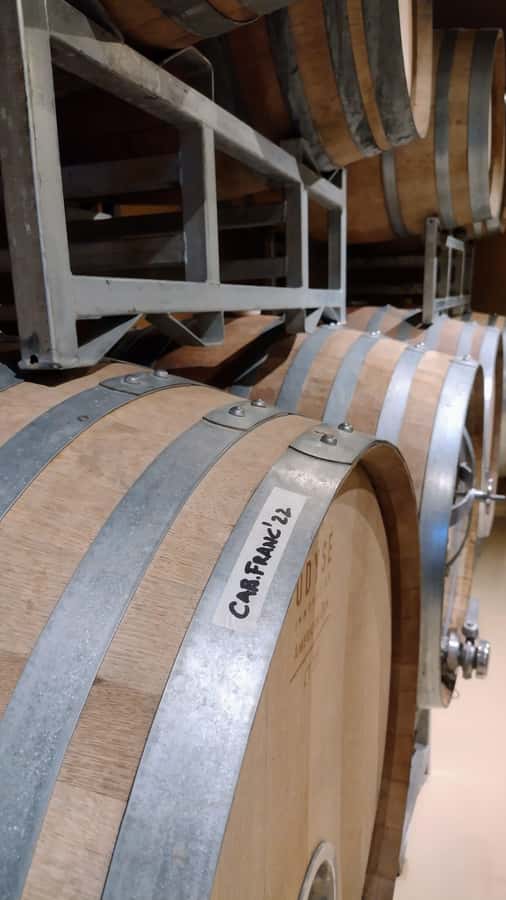 Córdoba: Wine Tour Privado a Colonia Caroya - Día completo - Colonia Caroya wine, explained in plain terms
