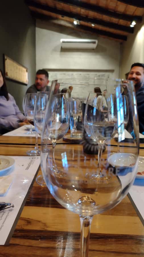 Córdoba: Wine Tour Privado a Colonia Caroya - Día completo - Price and value: what $220 per person buys you