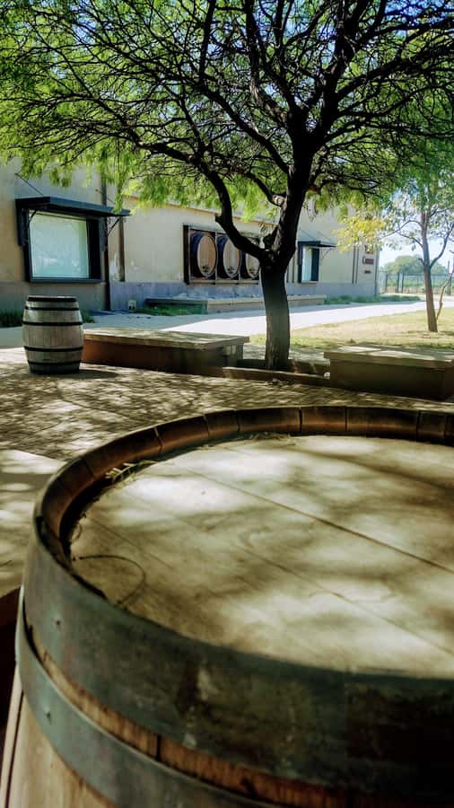 Córdoba: Wine Tour Privado a Colonia Caroya - Día completo - Your guides, Spanish and English, with real wine focus