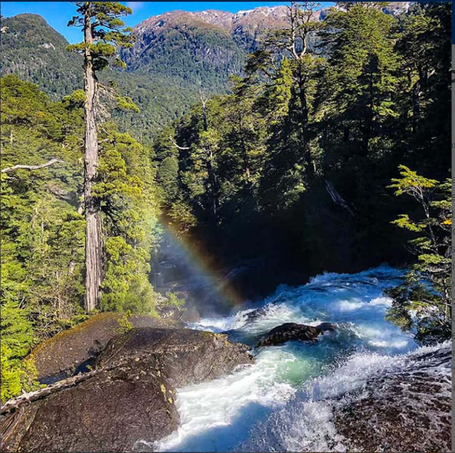 Crossing to Puerto Blest and Cascada de los Cántaros - Lake Nahuel Huapi by catamaran, then Puerto Blest on foot