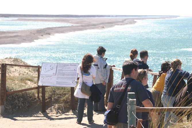 Cruise Shore Excursion Peninsula Valdes - Pto Madryn - Patagonia - Argentina - Caleta Valdes: Elephant Seals, Penguins, and Sometimes Orcas