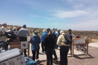 Cruise Shore Excursion Punta Tombo Tour – Puerto Madryn – Patagonia – Argentina
