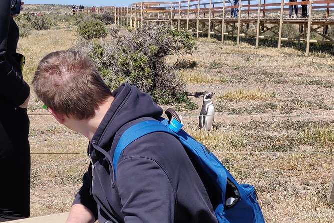 Cruise Shore Excursion Punta Tombo with Boxlunch from Pto Madryn - Box Lunch, Water, and What You Should Bring