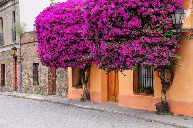 Day Tour in Colonia del Sacramento - Price and timing, what $83 really buys you