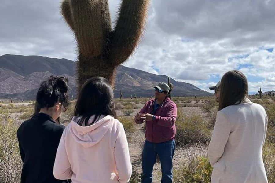 Day Trip to Cachi from Salta - Why Cachi is a smart day trip from Salta