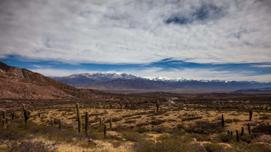 Day Trip to Cachi from Salta - Cachi church and the Archaeology Museum with pre-Columbian artifacts