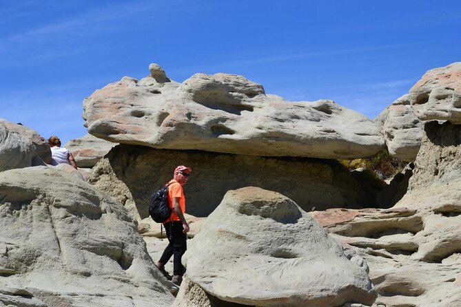 Discover La Leona Petrified Forest: Guided Hiking Tour - Key highlights worth your attention