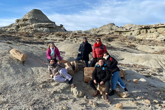 Discover La Leona Petrified Forest: Guided Hiking Tour - Why La Leona feels like a different Patagonia chapter