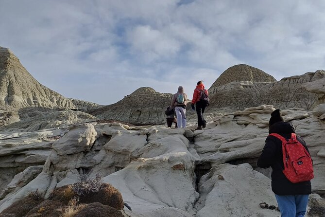 Discover La Leona Petrified Forest: Guided Hiking Tour - Guides and drivers: what makes the difference on a remote day trip