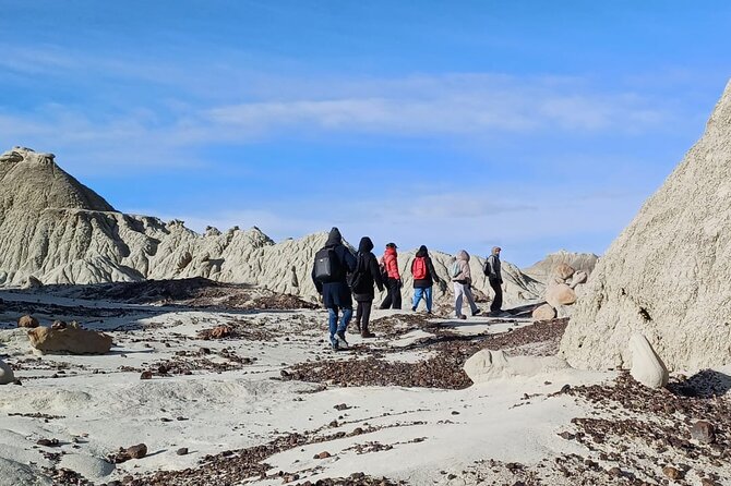 Discover La Leona Petrified Forest: Guided Hiking Tour - Route 40 coach ride from El Calafate, then Lake Argentino comes into view