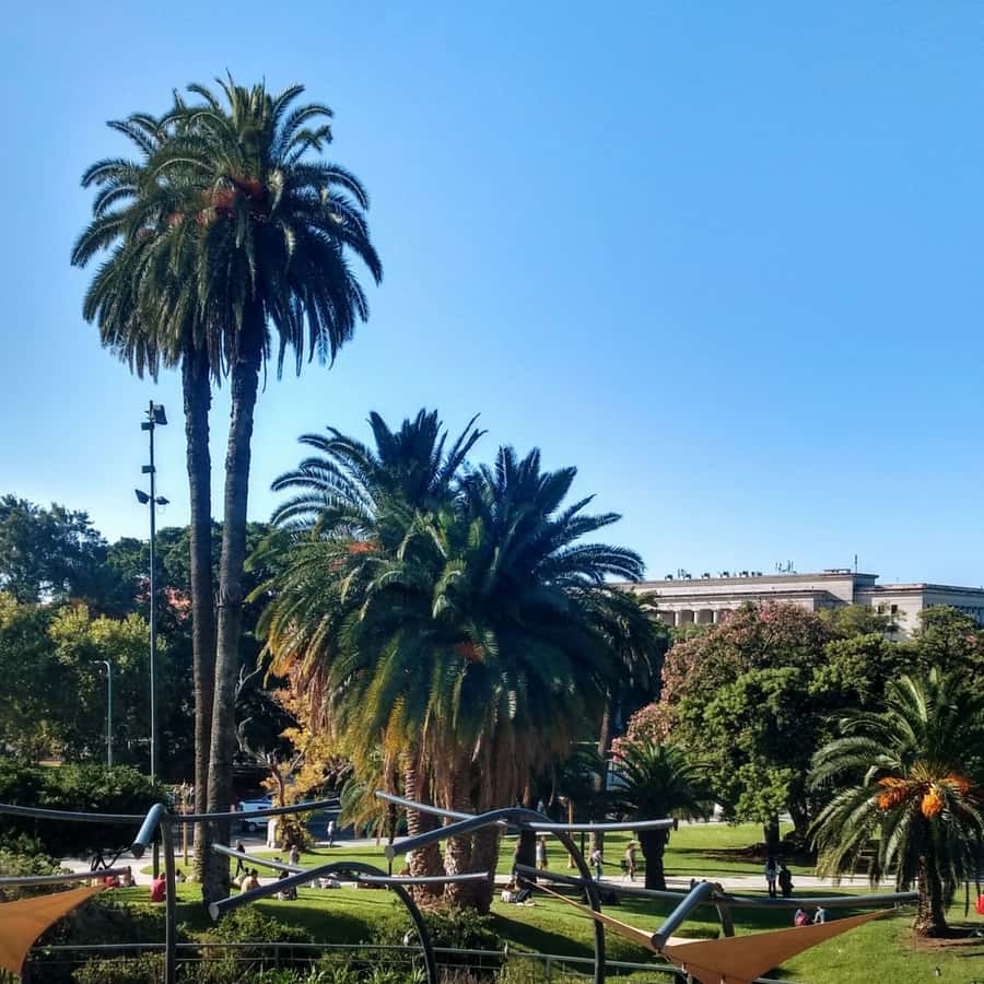 Discover Recoleta, Buenos Aires' Little Paris - Avenida Alvear, France connections, and the Embassy-area walk