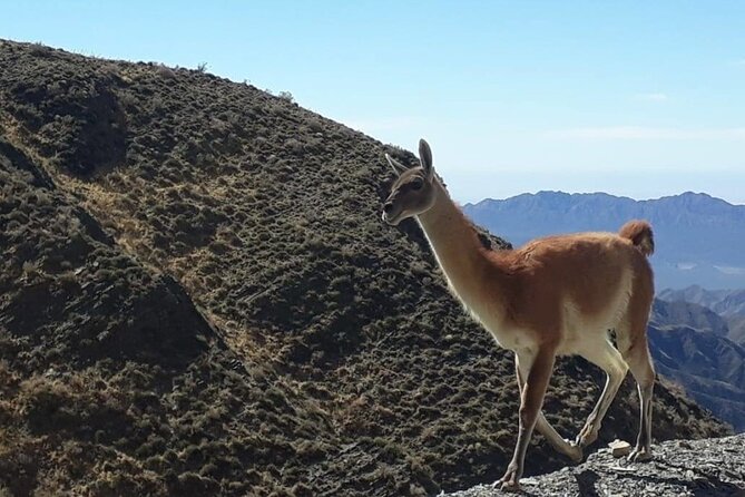 Discover Villavicencio Natural Reserve: Half-Day Adventure - Stop 1: Monumento Canota and San Martín’s Campaign Route