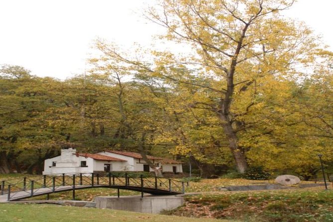 Discover Villavicencio Natural Reserve: Half-Day Adventure - Wildlife Chances: Guanacos, Pumas, Ostriches, and the Reserve Ecosystem