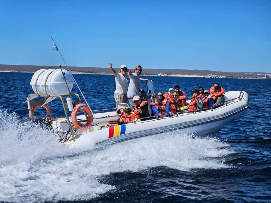 Dolphin Watching Adventure - Key things I’d focus on before you go