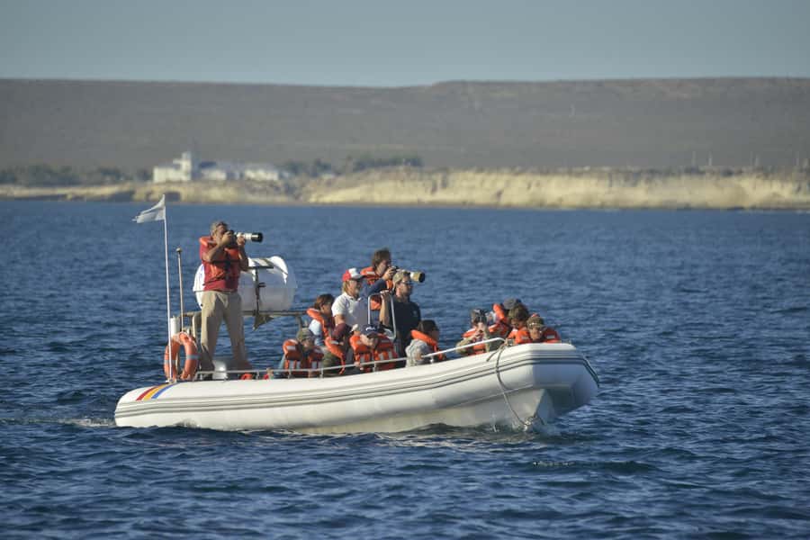 Dolphin Watching Adventure - What to bring so the boat part feels easy