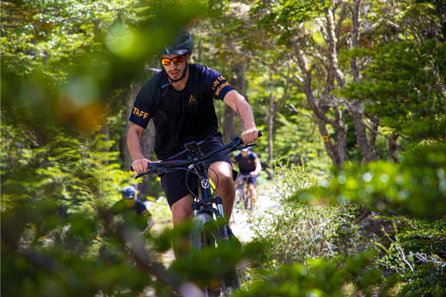 E-BIKE Beagle Viewpoint - Key Things I’d Prioritize Before You Book