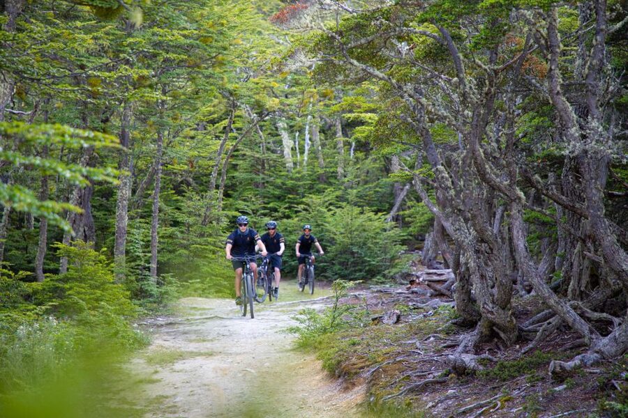 E-BIKE Beagle Viewpoint - What the Guides Do That Makes a Real Difference