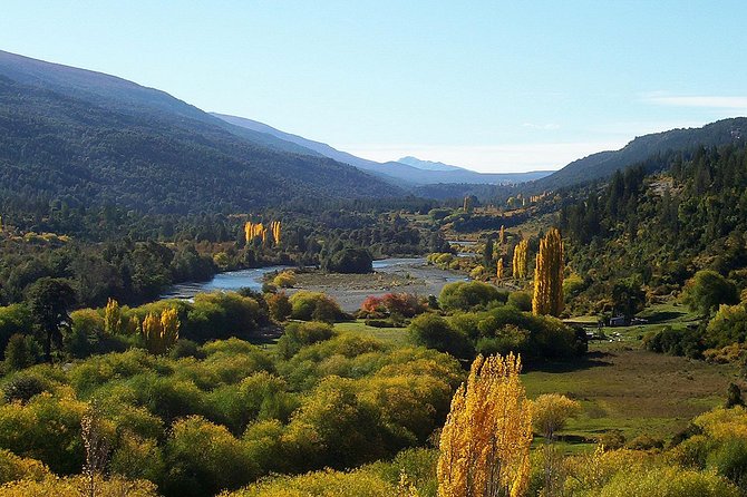 El Bolson and Lago Puelo Sightseeing Tour - The 1960s ecological story and why it shows up on the ground