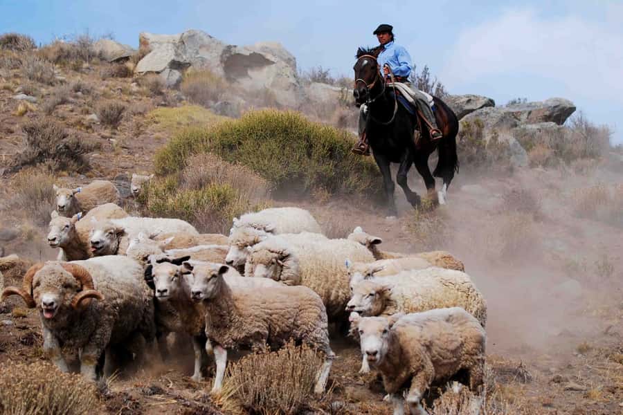 El Calafate: Estancia 25 de Mayo Tour with Dinner & Transfer - Arrival at 25 de Mayo: fried cakes, mate, and settler stories