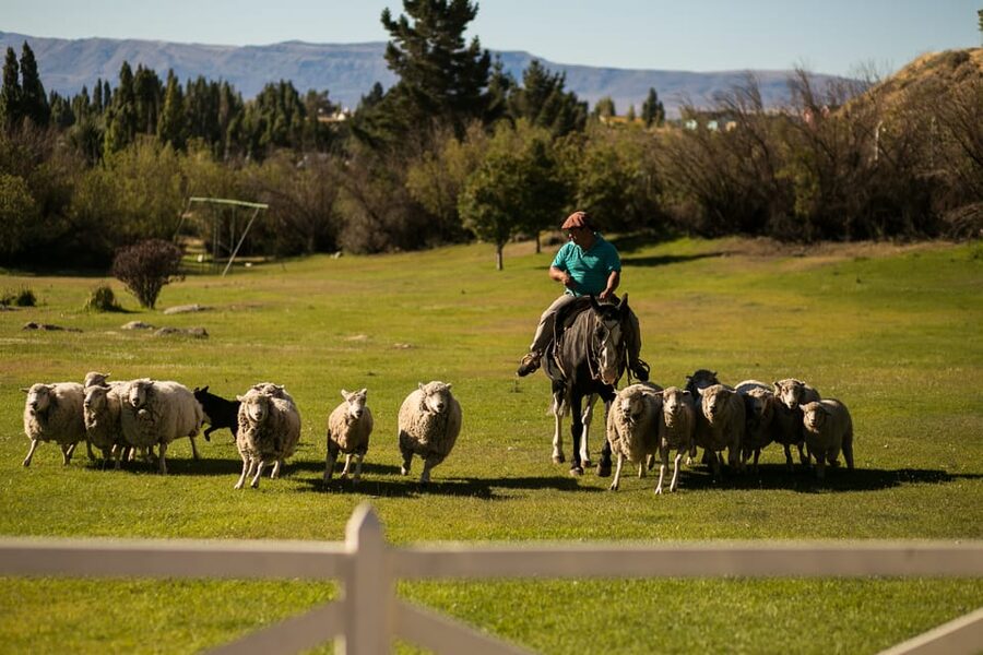 El Calafate: Estancia 25 de Mayo Tour with Dinner & Transfer - Folkloric show after dinner: dancing that gets people involved