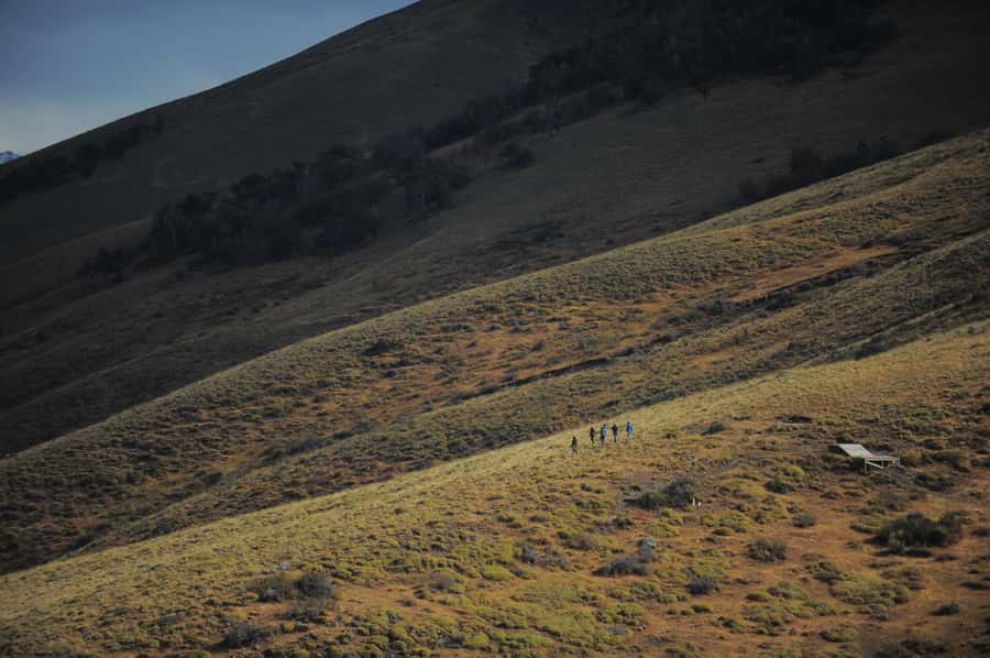 El Calafate: Horseback riding in Cerro Frias - The Cerro Frías ascent, 400 meters of patience and views