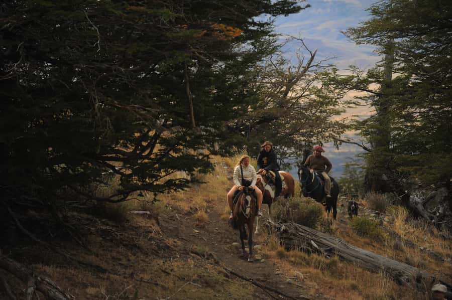 El Calafate: Horseback riding in Cerro Frias - Who this ride fits best, and who should reconsider