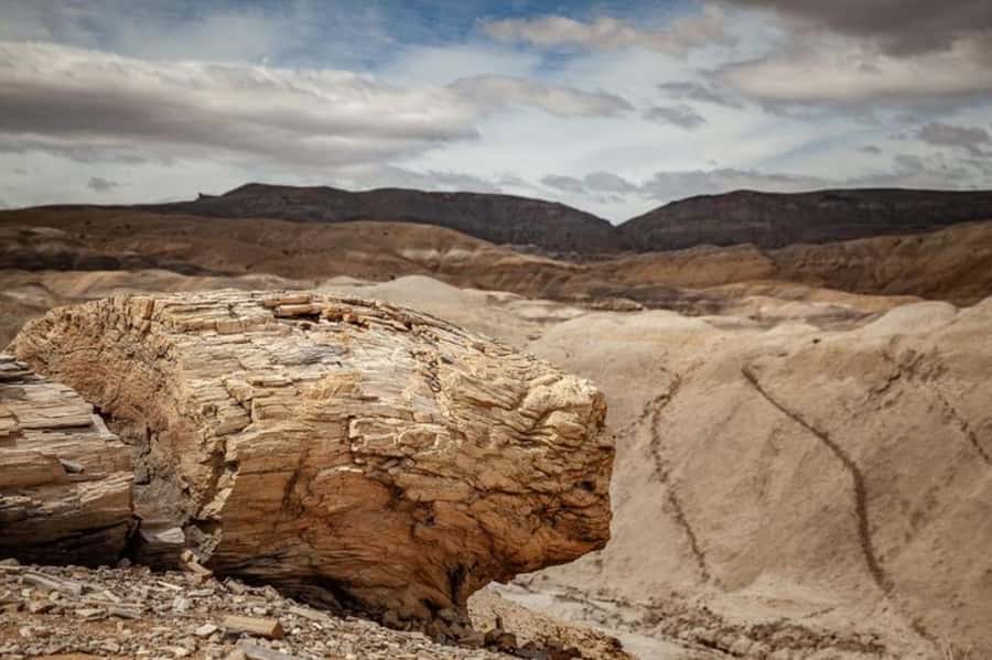 El Calafate: Kayak and Hike La Leona River Tour - The van ride: start the day with eyes open