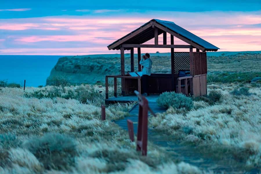 El Calafate: Monte León 4x4 Wolves and Penguins Excursion - A national park with three moods, all in one day
