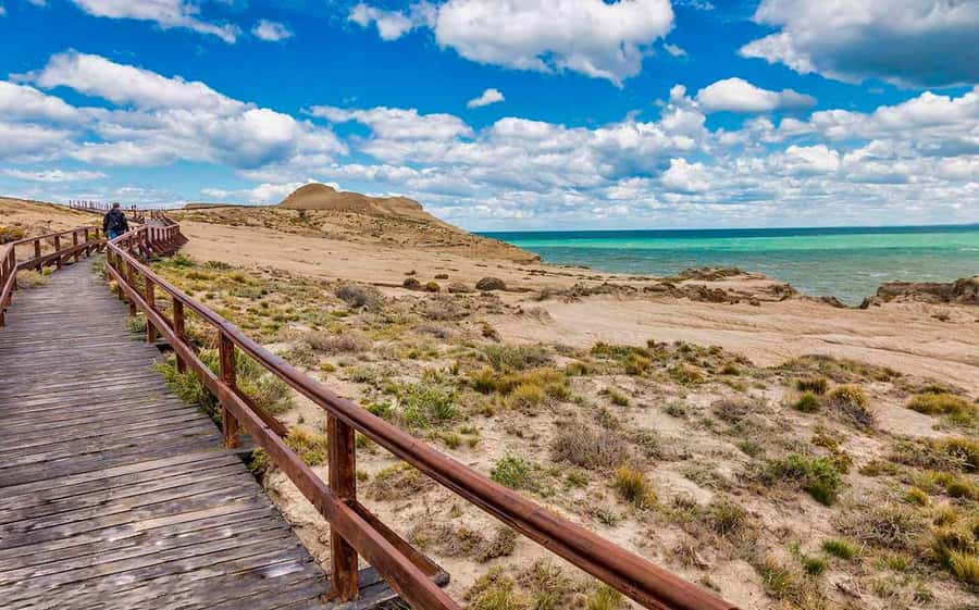 El Calafate: Monte León 4x4 Wolves and Penguins Excursion - Penguin time at around 11:30 a.m.: walking nests, then viewing the colony