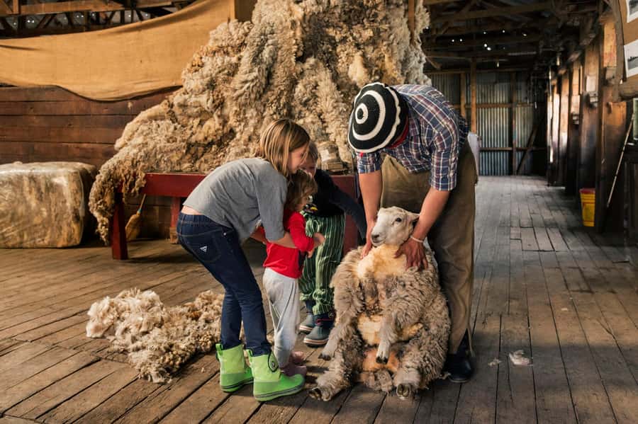 El Calafate: Nibepo Aike Ranch with Horseback Riding - Touring the estancia: from sheep history to Hereford cattle ranch life