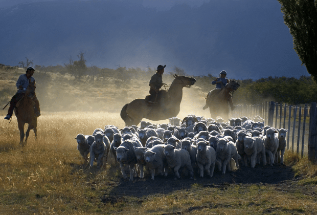 El Calafate: Nibepo Aike Ranch with Horseback Riding - Horseback riding with a baqueano: what you’re really buying