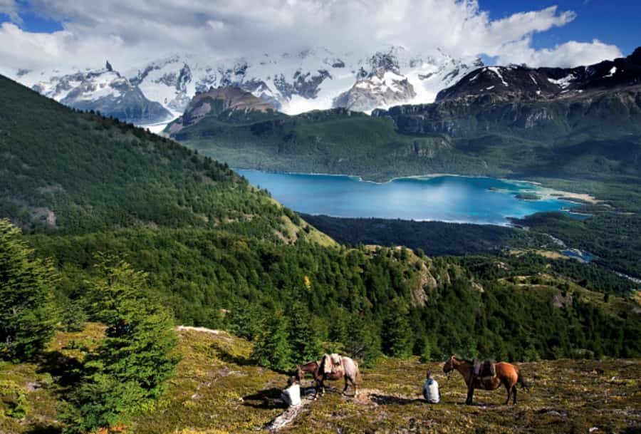 El Calafate: Nibepo Aike Ranch with Horseback Riding - Price and value at $175: what you get in a 7-hour day