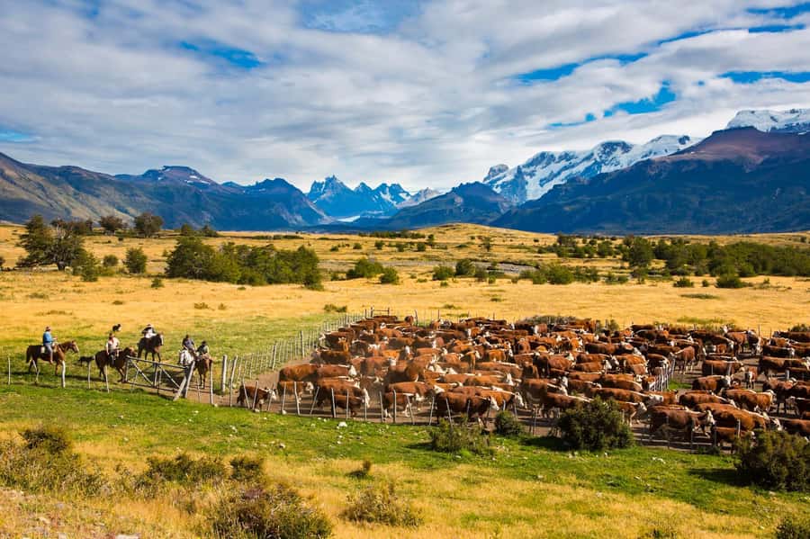 El Calafate: Nibepo Aike Ranch with Horseback Riding - Quincho welcome: hot drinks, homemade pastries, and Andes views