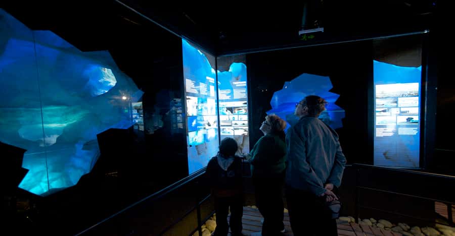 El Calafate: Perito Moreno Glacier, Boat Cruise & Glaciarium - Who should book this two-day glacier and museum combo?
