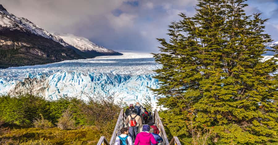 El Calafate: Perito Moreno Glacier & Optional Boat Cruise - The Walking Mix: Forest Paths and Lake Views Along the Way