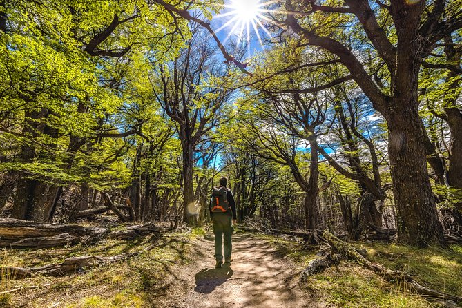 El Chaltén with Trekking from El Calafate - Pickup, Stops, and Why the Timing Feels Like Part of the Experience