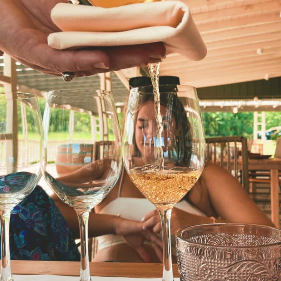 Enjoy a Rural Experience in a Vineyard near Buenos Aires - What wines you’ll meet: Malbec, Pinot Noir, and Cabernet Franc in one sitting