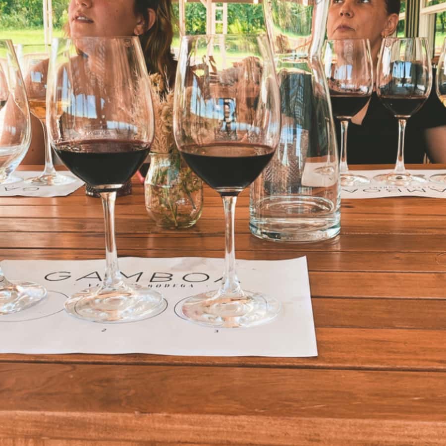 Enjoy a Rural Experience in a Vineyard near Buenos Aires - The heat factor: how to stay comfortable on the vineyard schedule