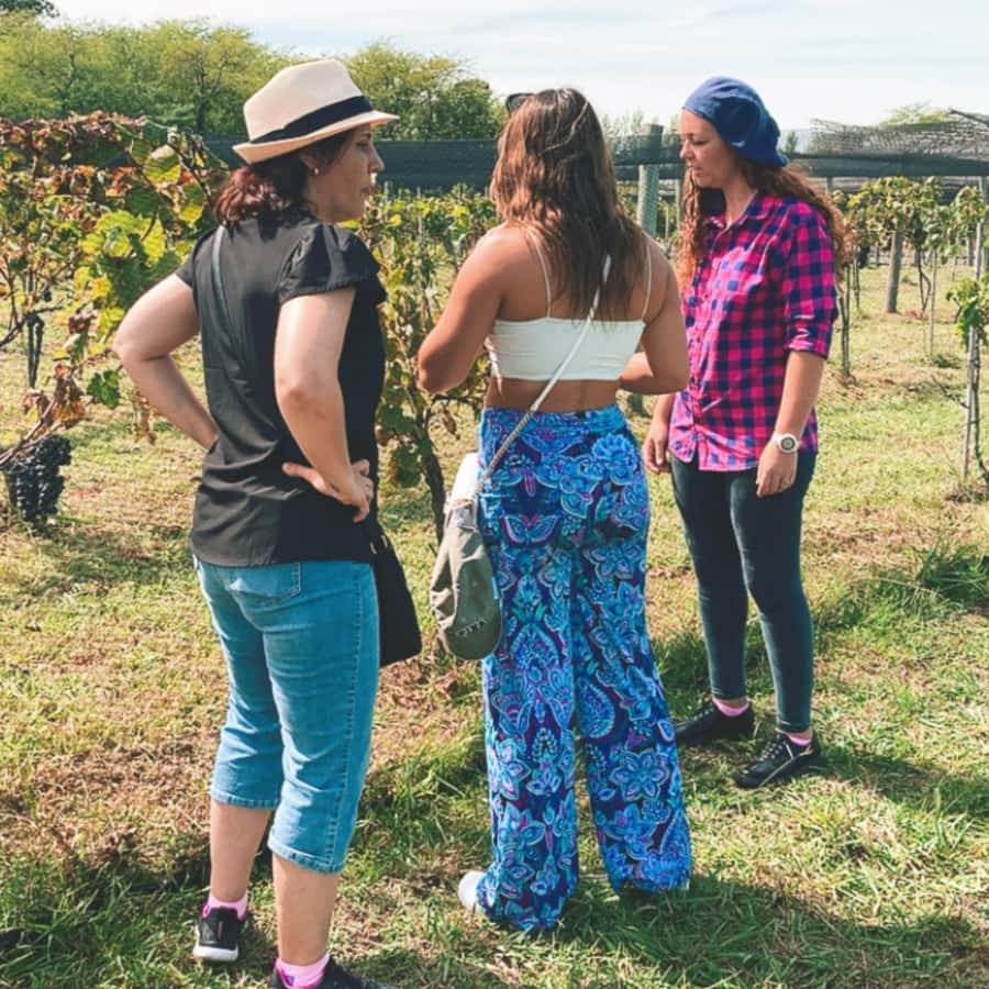 Enjoy a Rural Experience in a Vineyard near Buenos Aires - Transport and group vibe: a private setup with a real-world tradeoff