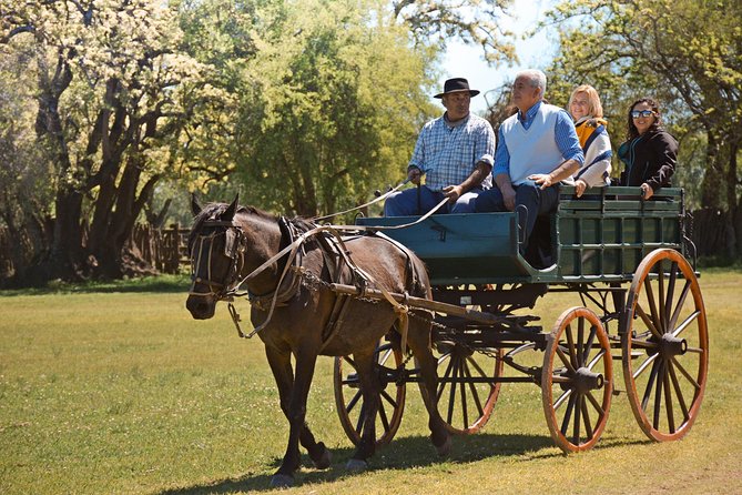 Estancia Gaucho Day at Buenos Aires - Folklore show and gaucho demonstration, the part that most people remember