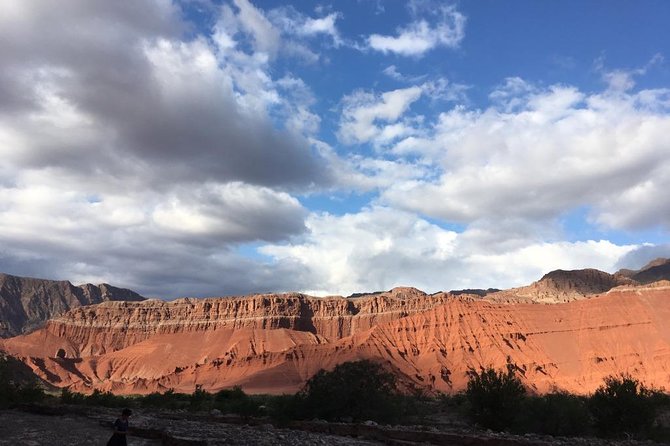 Exclusive day-long private tour of Cafayate vineyards - Key Things To Know Before You Go