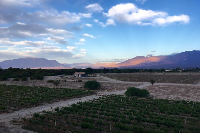 Exclusive day-long private tour of Cafayate vineyards - A Private, Day-Long Wine Route From Salta