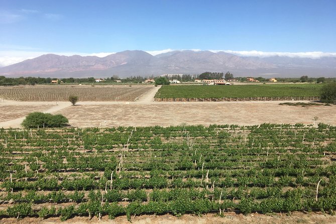 Exclusive day-long private tour of Cafayate vineyards - The Steak Lunch Piece and How Snacks Fit In