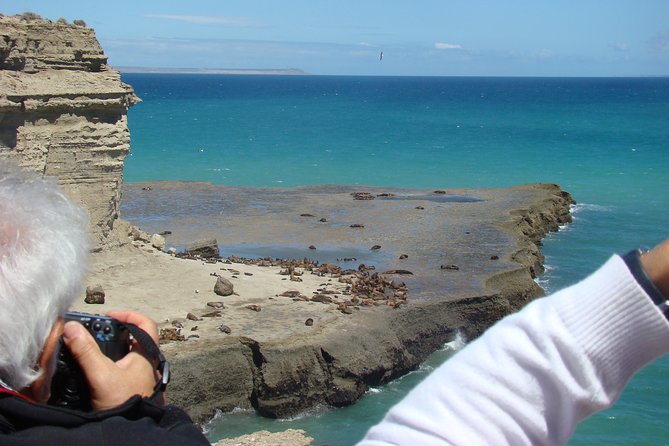 Exclusive Peninsula Valdes Nature & Wildlife for Cruise Guests - Key Highlights You Should Not Miss