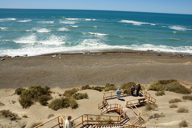 Exclusive Peninsula Valdes Nature & Wildlife for Cruise Guests - Meeting in Puerto Madryn, and Why the Ship Timetable Drives Everything