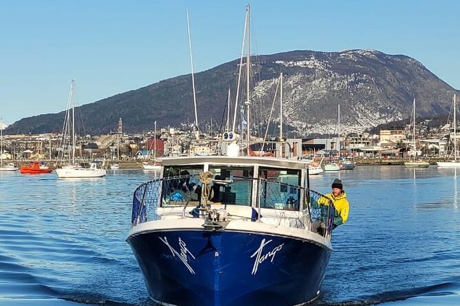 Excursion through the Beagle Channel on a Tango Yacht - Wildlife expectations: what you can likely see, and what depends on luck