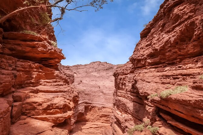 Excursion to Cafayate and Quebrada de las Conchas - Why Cafayate and Quebrada de las Conchas is a smart one-day plan from Salta