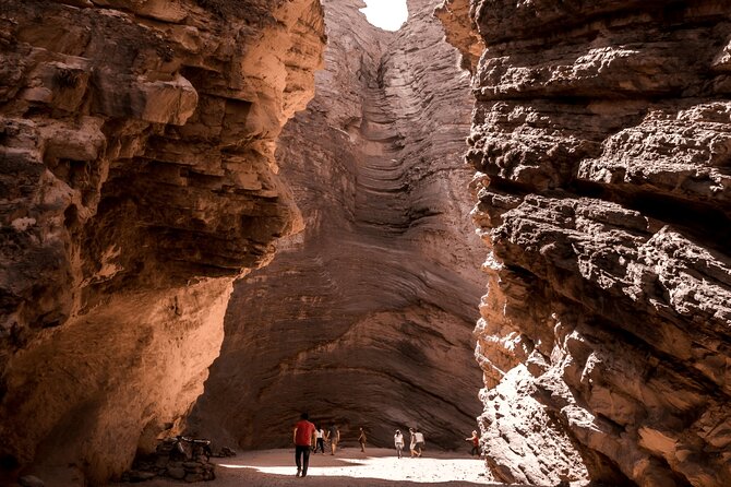 Excursion to Cafayate and Quebrada de las Conchas - Valle de Lerma and the wine-country warm-up you actually need