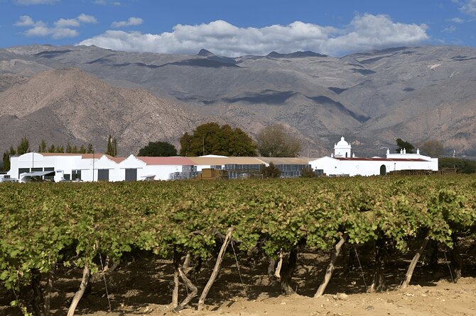 Excursion to Cafayate and Quebrada de las Conchas - Cafayate between vineyards: tasting included, plus a town break for lunch