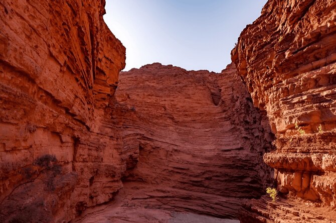 Excursion to Cafayate and Quebrada de las Conchas - 7:00 am start, air-conditioned transport, and what a long day costs you